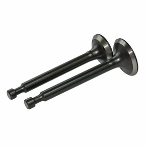 Клапана впускной и выпускной GX 620