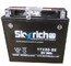Аккумулятор 12V 18 Ah Skyrich YTX20-BS