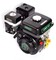 GRUNWELT GW170F-T/20 бензиновый двигатель 7 л.с. (Шлиц 20мм)