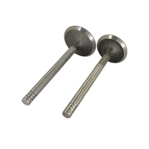 Клапан впускной и выпускной D1100F