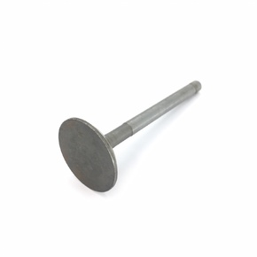 Клапан выпускной D170F