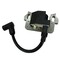 Катушка зажигания GC135 GC160 GCV135 GCV160