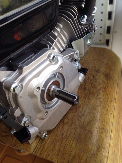 Бензиновый мотор Bizon