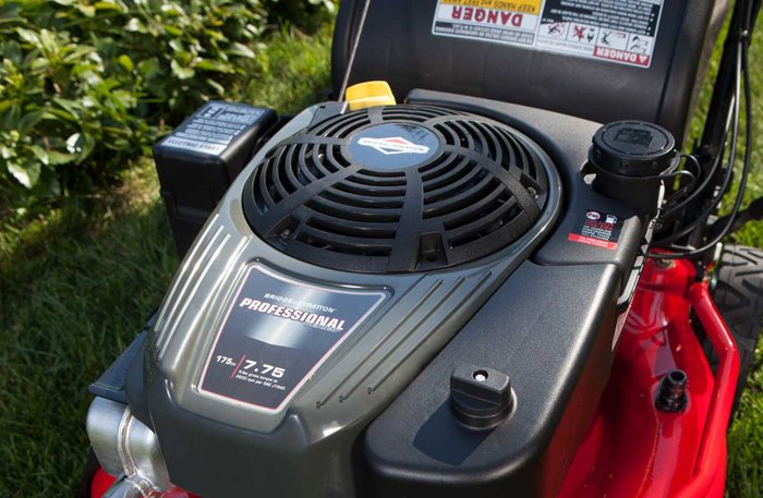 Двигатель Briggs & Stratton: запчасти